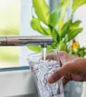 person filling glass from faucet