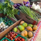 Farmers Market