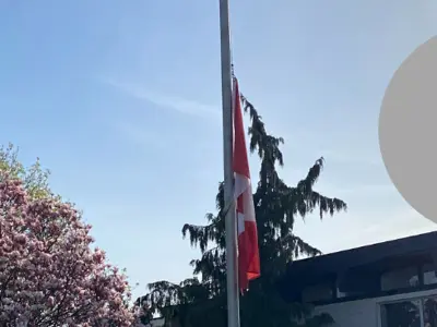 Flags at half mast with graphic of a red dress 